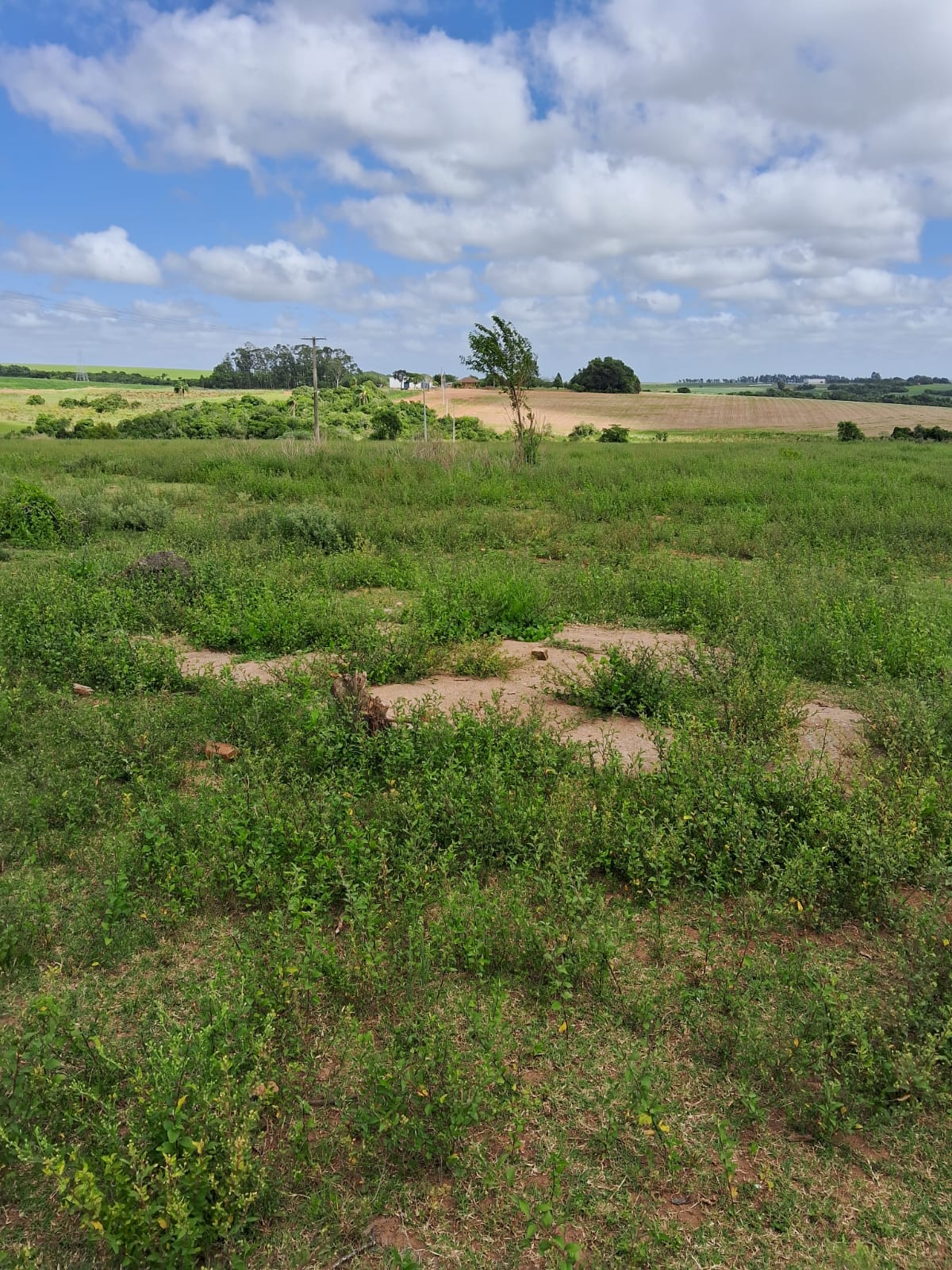 Daia Gazen, Santos, São Sepé2265