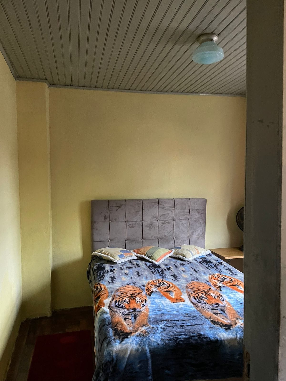 Indepêndencia, n°1083, Centro, São Sepé2277