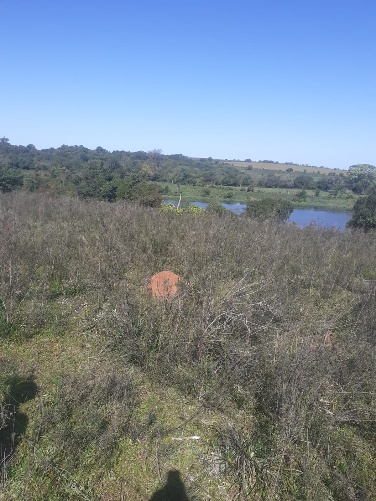 Coxilha Verde, São Sepé2281