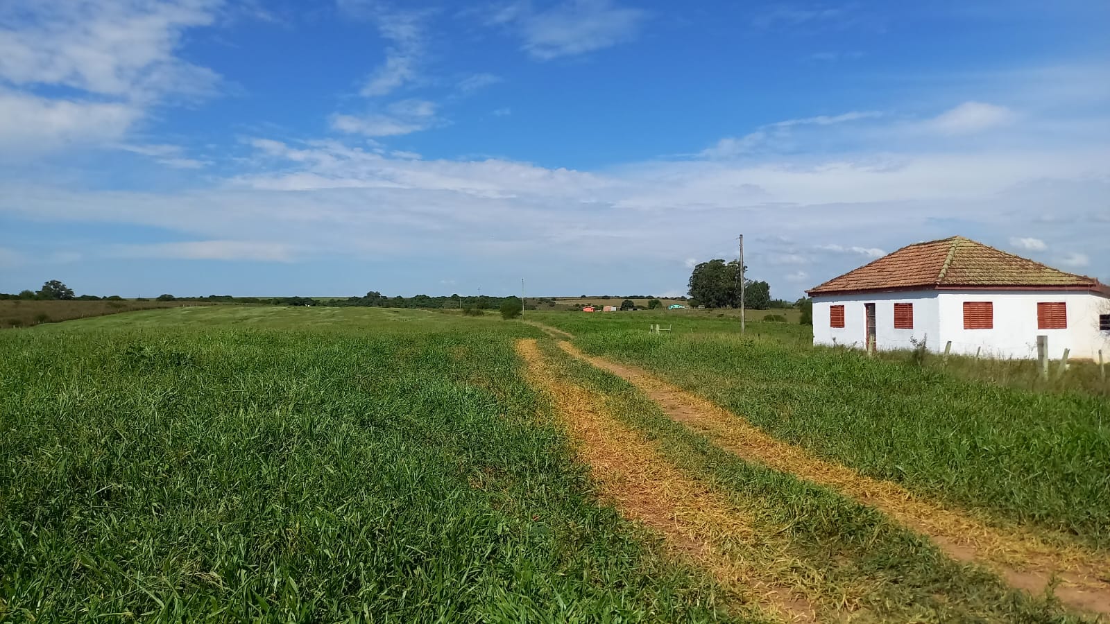 Coxilha Verde, São Sepé2285