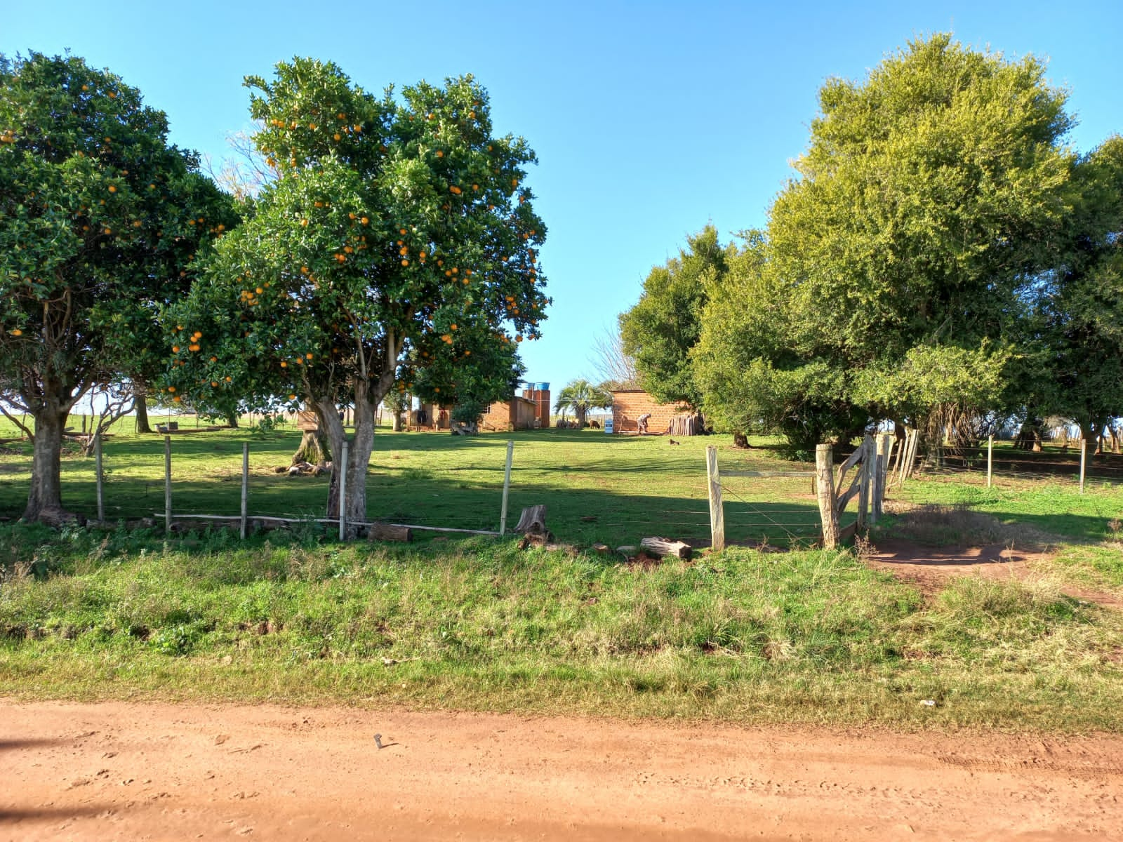 Coxilha Verde, São Sepé2291