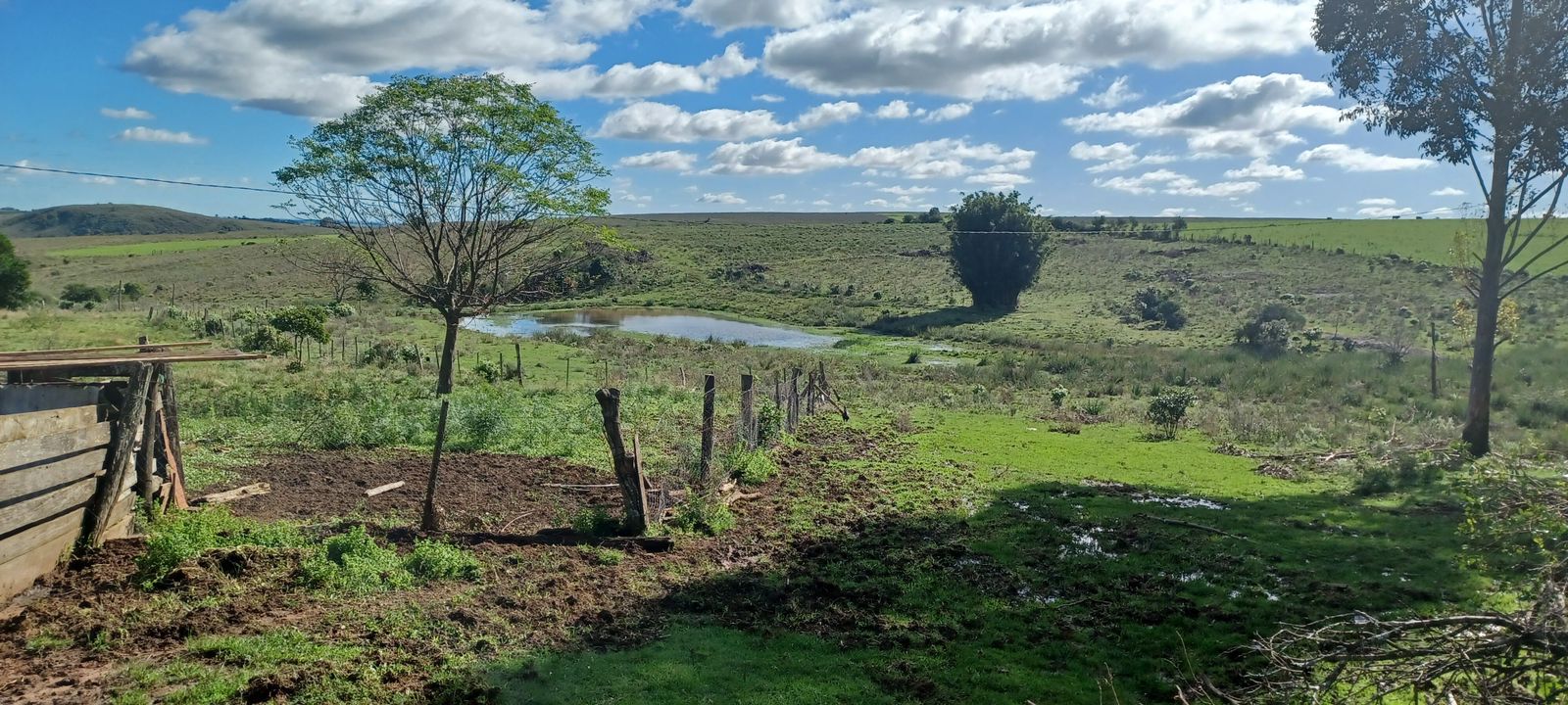 Coxilha Verde, São Sepé2294