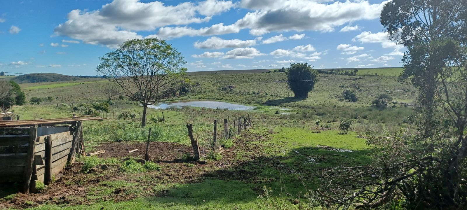 Coxilha Verde, São Sepé2294