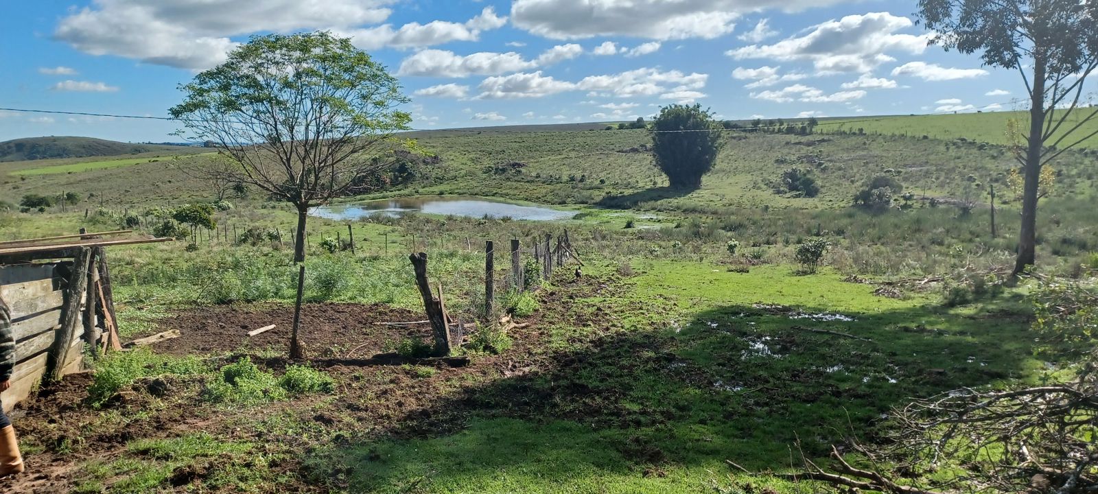 Coxilha Verde, São Sepé2294