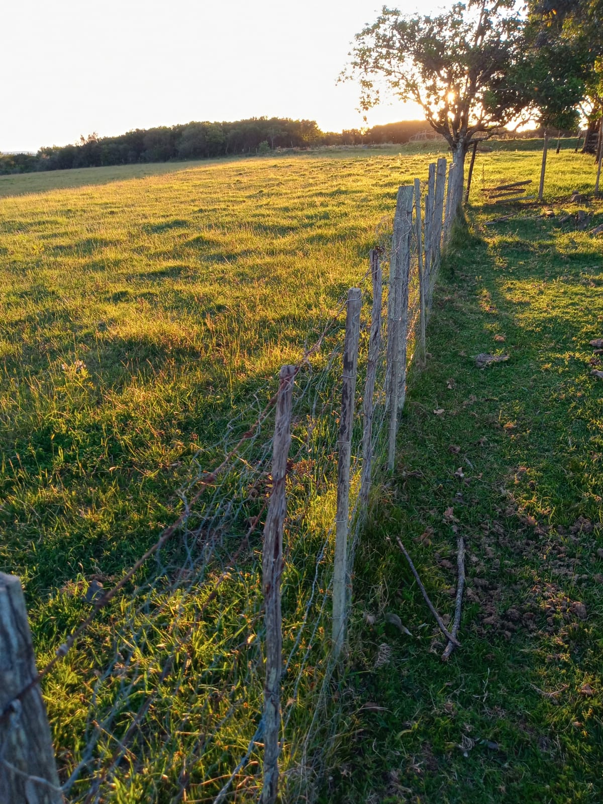 Alto do Posto, São Sepé2542