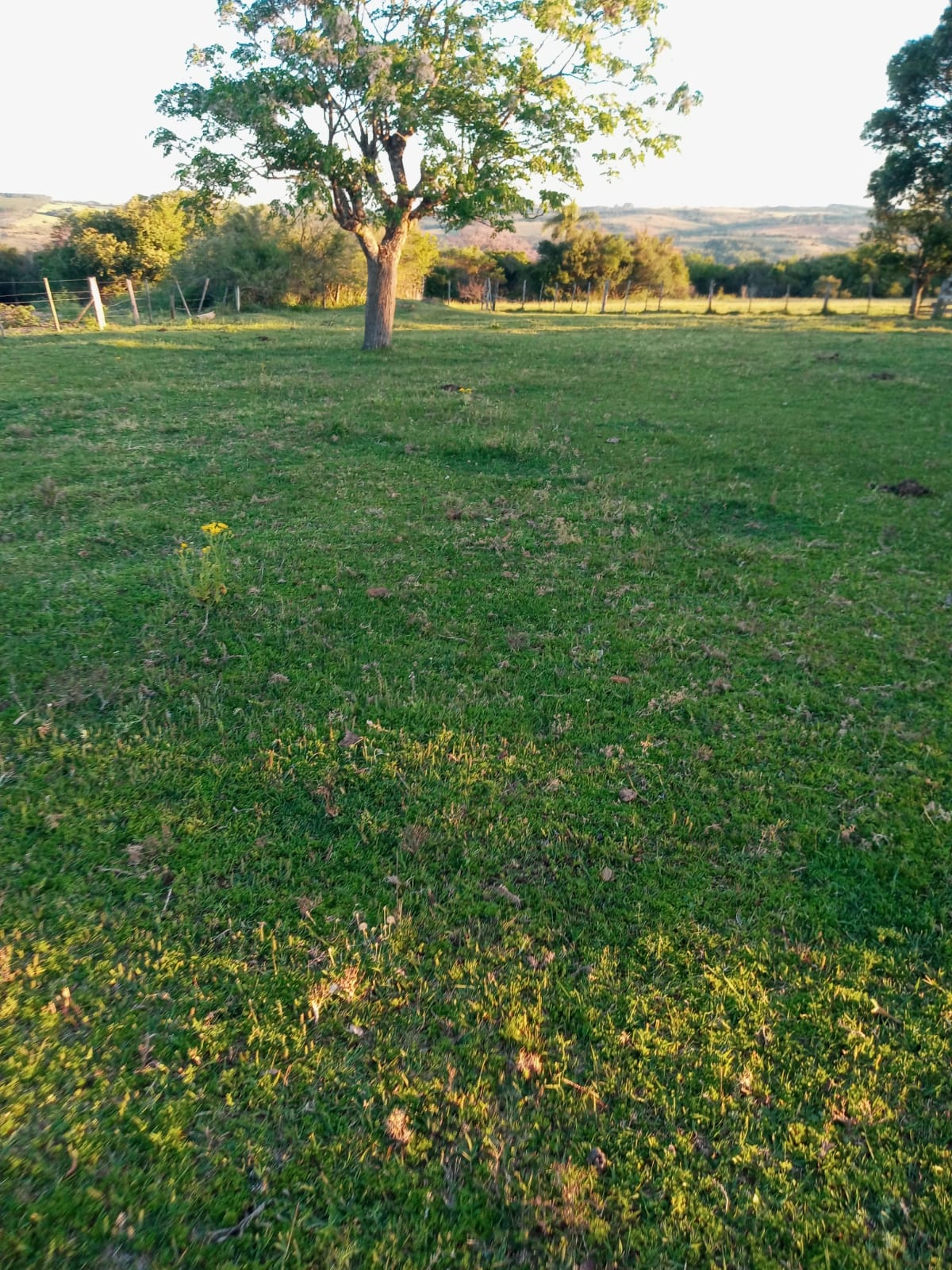 Alto do Posto, São Sepé2542