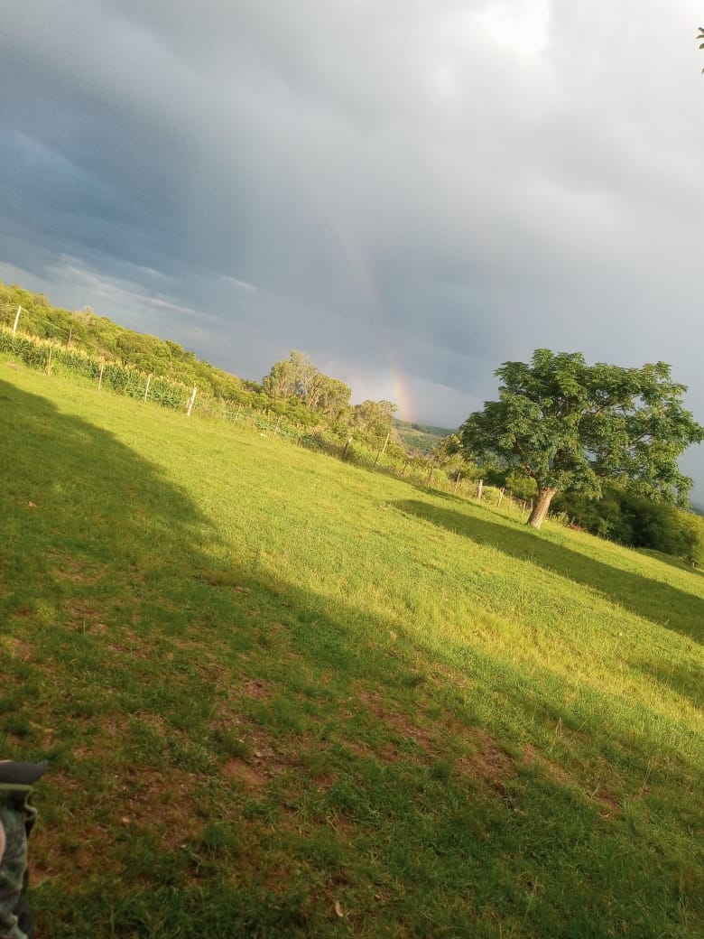 Alto do Posto, São Sepé2542