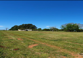 Hípica, São Sepé2603