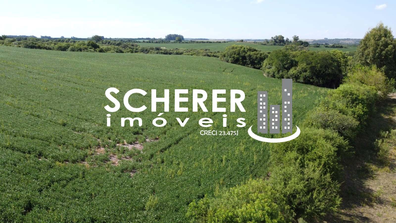 Mata Grande, São Sepé2618