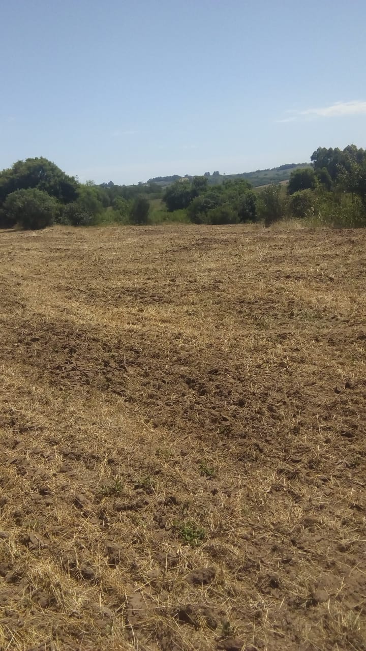 Av. Mal. Idelfonso Píres de Moraes, Hípica, São Sepé1676