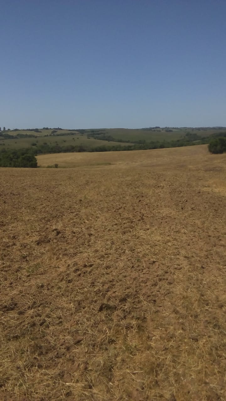 Av. Mal. Idelfonso Píres de Moraes, Hípica, São Sepé1676