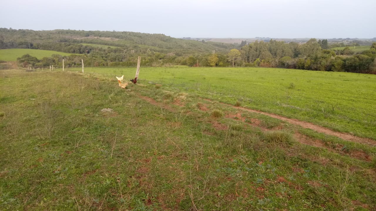 Av. Mal. Idelfonso Píres de Moraes, Hípica, São Sepé1676