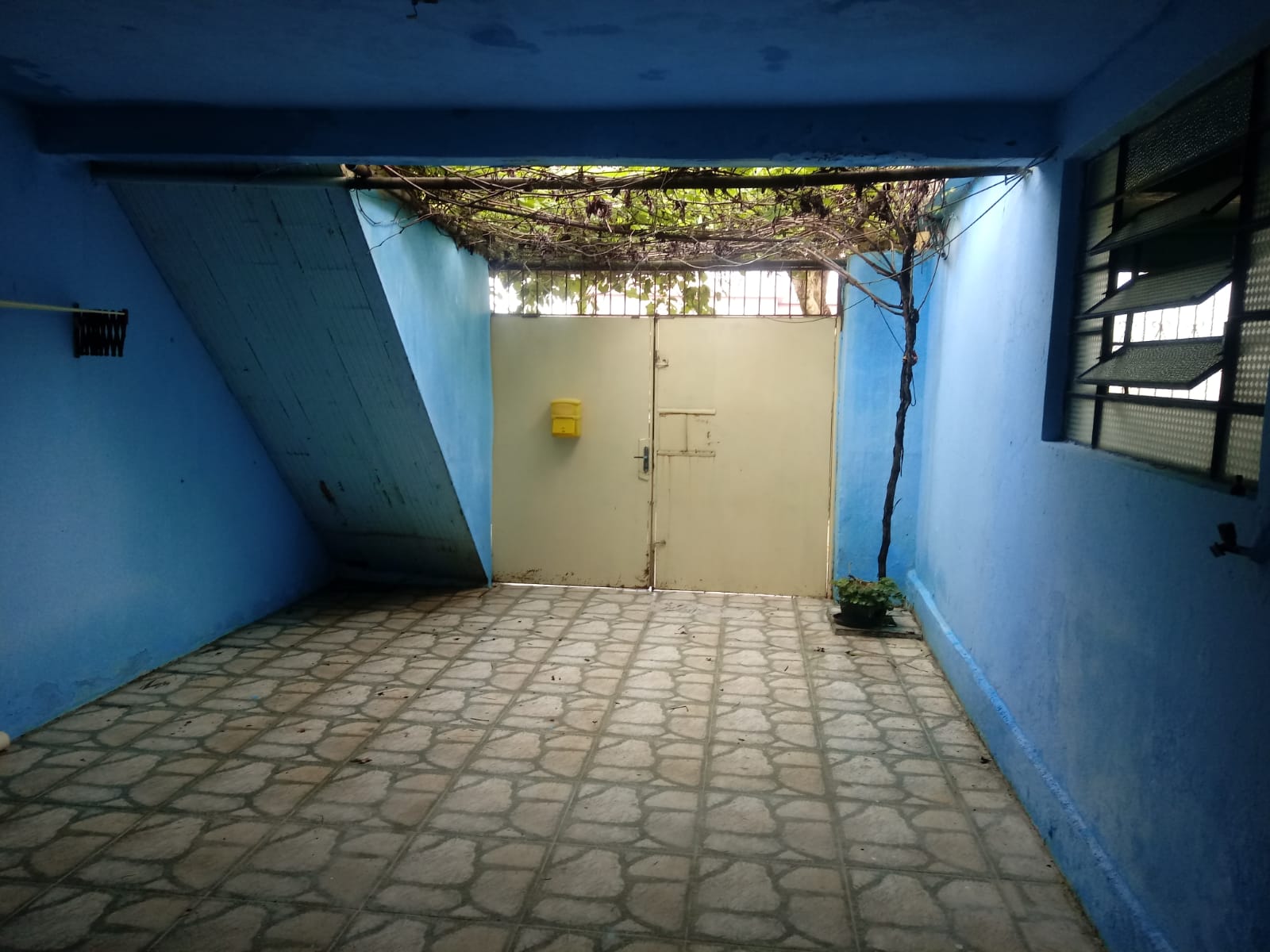 Rua Liberato Ferreira Rodrigues, 1441, Kurtz, São Sepé1838